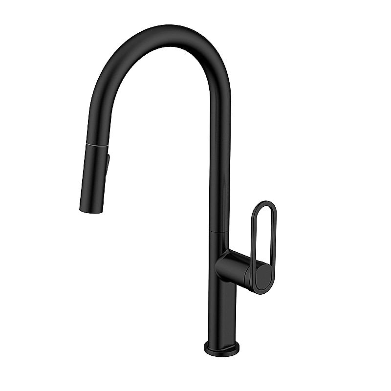 Grifería Vasser Jaspe - Monocomando cocina mesada Black