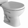 Combo Ferrum Andina - Inodoro largo + Asiento polipropileno + Depósito apoyo 4,5lts descarga dual + Bidet 3 orificios